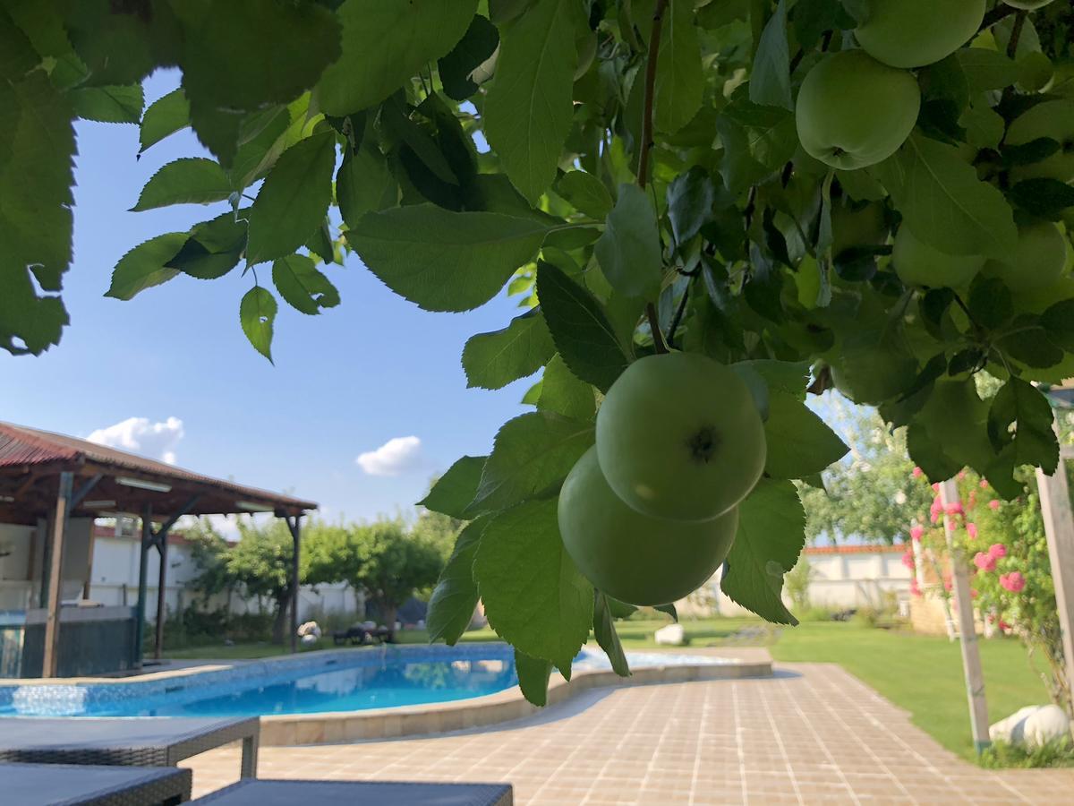 מלון פלובדיב Galeria In The Garden מראה חיצוני תמונה