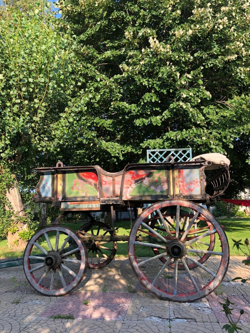 מלון פלובדיב Galeria In The Garden מראה חיצוני תמונה
