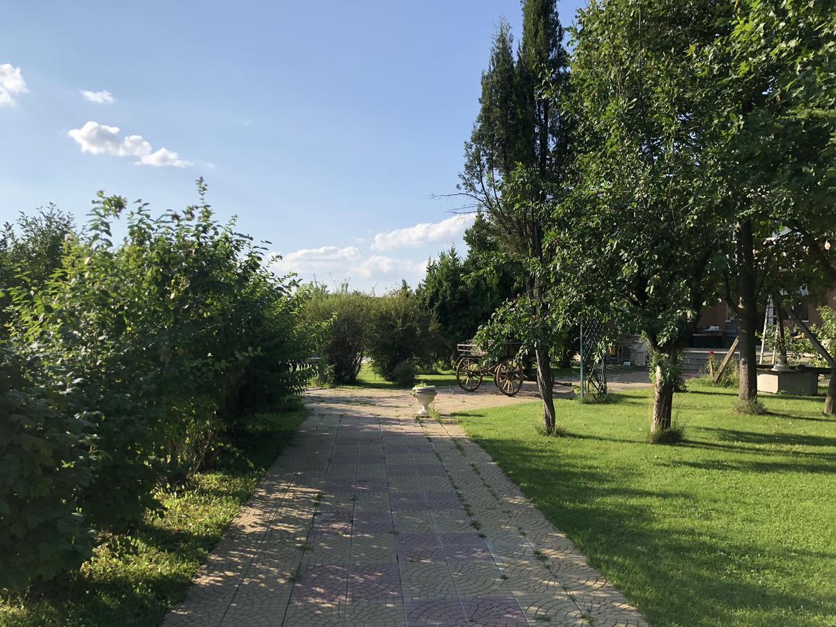 מלון פלובדיב Galeria In The Garden מראה חיצוני תמונה